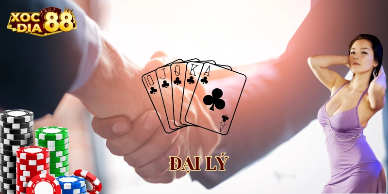 Đại Lý là gì? 